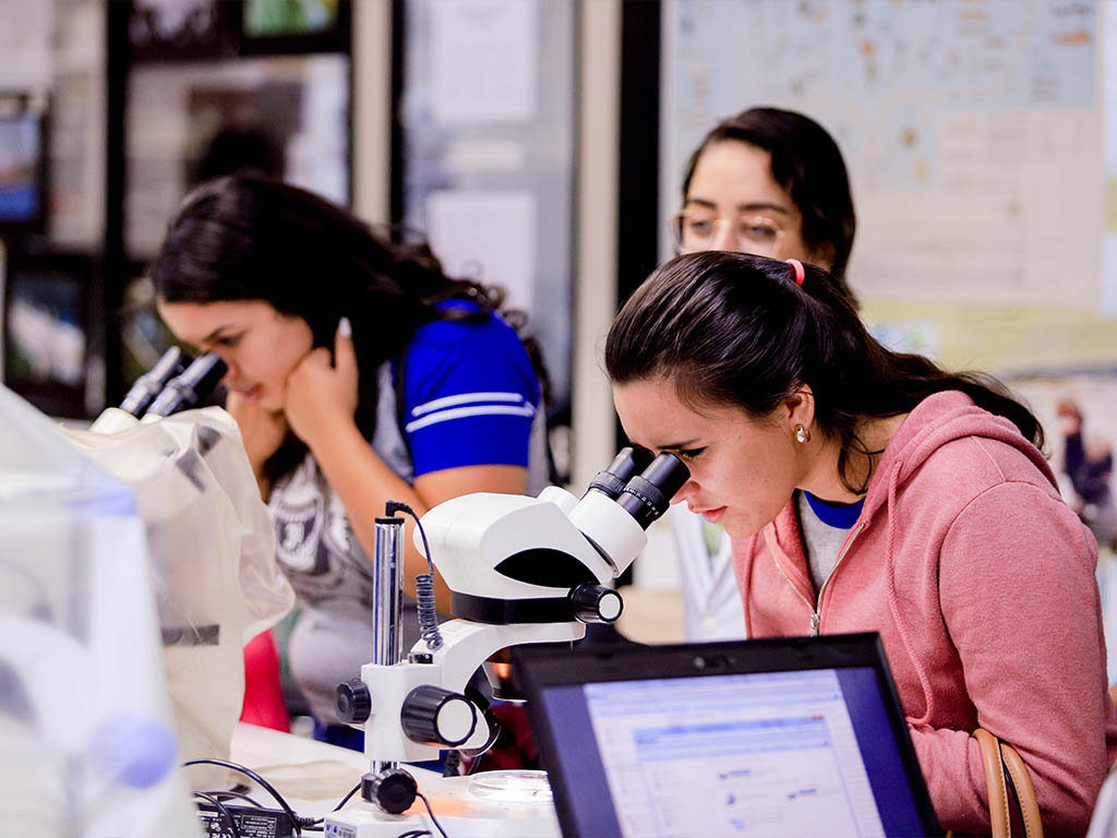 2019 - Conhecedo a UEG (Câmpus Central)
